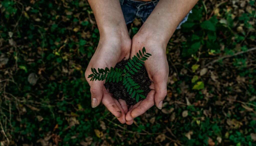 Photo: Noah Buscher on Unsplash Photo: Noah Buscher on Unsplash