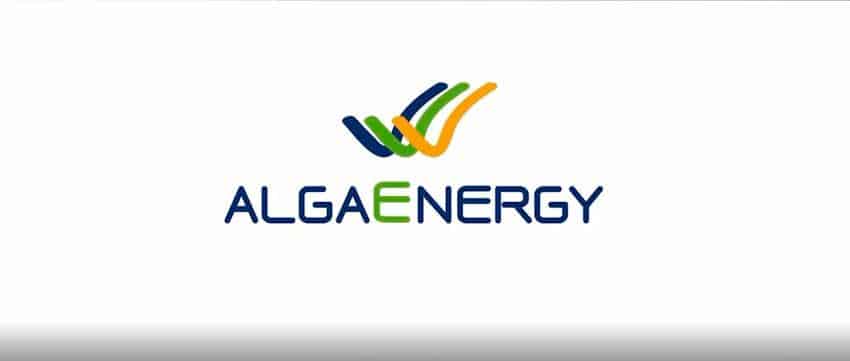 Alga Energy Logo Alga Energy Logo