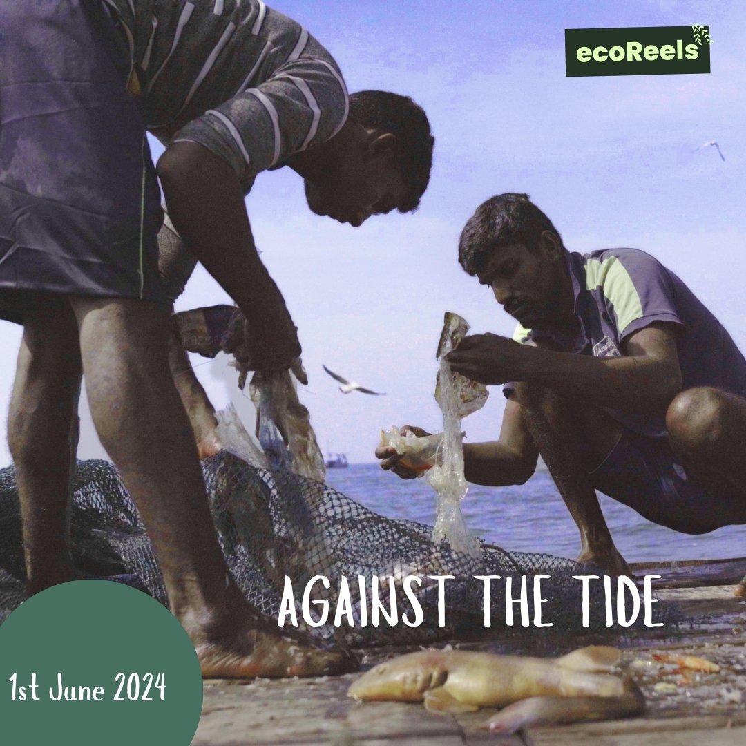 EcoReels Film Festival